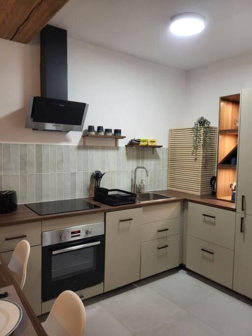 O Bon'Endroit - Appartement Confort - Centre Ville Βιέν Εξωτερικό φωτογραφία